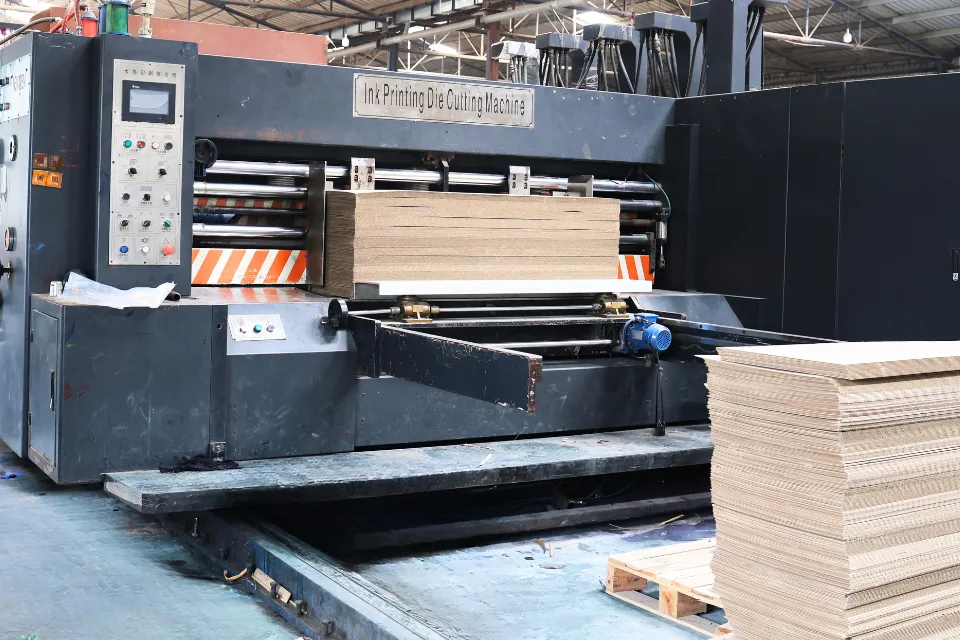 Sublime Packs: Where Customer Service Meets Quality and Sustainability